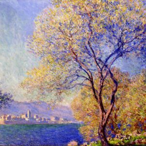 Photo of Antibes Seen From The Salis Gardens