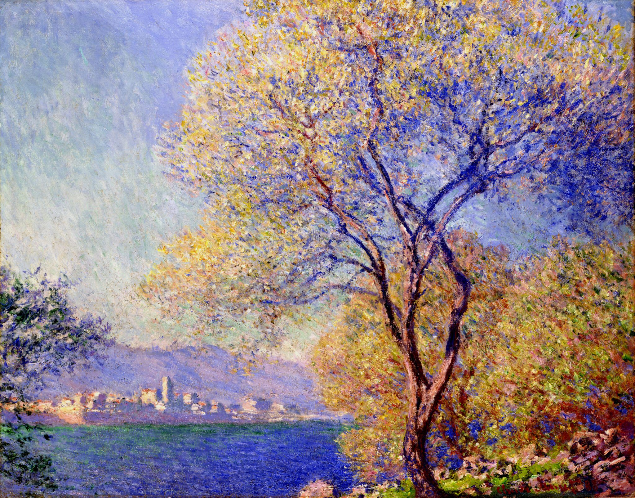 Antibes Seen from the Salis Gardens - Lavelart Photo of Antibes Seen from the Salis Gardens
